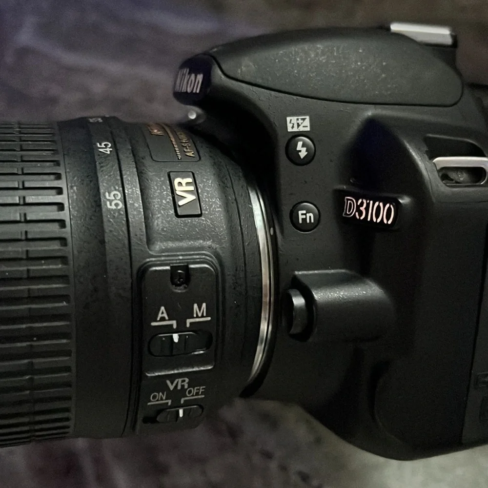 Nikon D3100